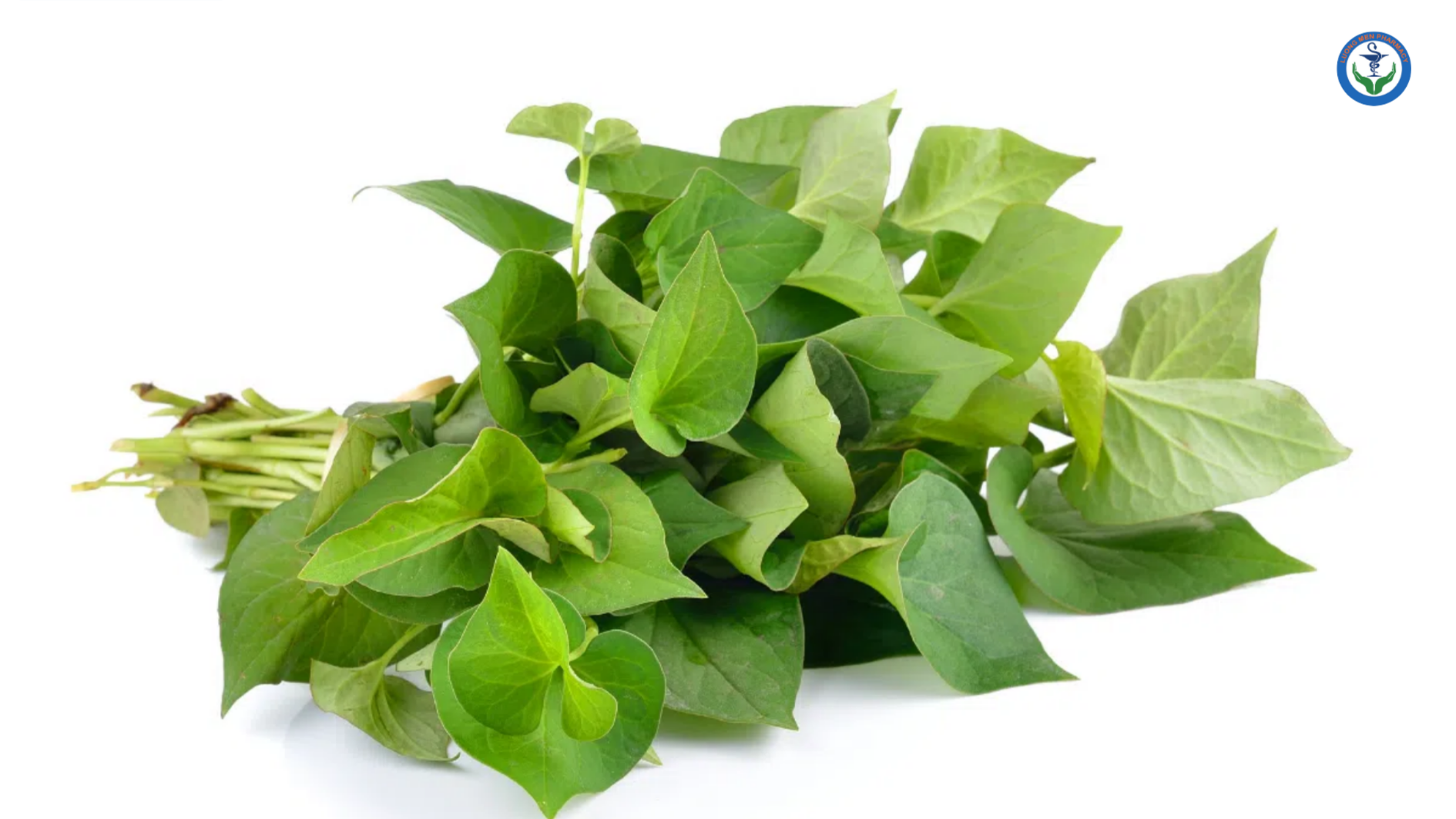 Rau diếp cá – Thanh nhiệt tốt nhưng không phải ai cũng phù hợp